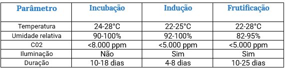 Captura de tela 2024 11 04 191148