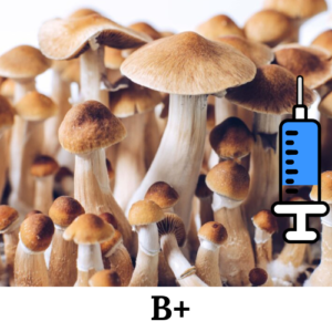 cultura-líquida-B+ Cultura-líquida-psilocybe-cubensis-B+ Psilocybe-cubensis-B+ Cogumelos-mágicos Cultura líquida B+