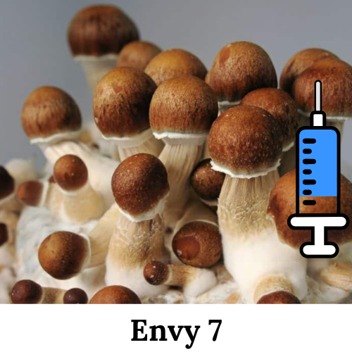 Cultura Líquida Penis Envy 7 Super semente-de-cogumelo-psilocybe-cubensis-penis-envy-7 esporos-de-cogumelos-mágicos semente-de-micélio-penis-envy cultura-líquida-cogumelo-mágico Cultura Líquida Penis Envy 7 Super