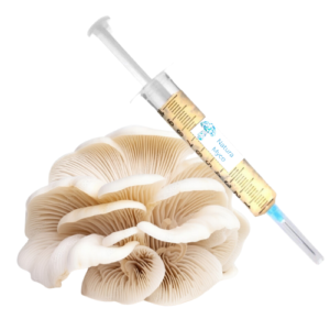 Cultura-liquida-shimeji-branco shimeji-branco Pleurotus-ostreatus shimeji-comprar cultura-líquida-cogumelos cultura líquida-pleurotus-ostreatus esporos-de-cogumelo-shimeji-branco esporos-de-cogumelo-pleurotus-ostreatus semente-de-cogumelo-shimeji-branco semente-de-cogumelo-pleurotus-ostreatus micélio-shimeji-branco micélio-pleurotus-ostreatus cultura líquida shimeji branco