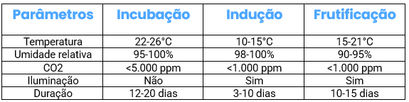 Parâmetros de cultivo shimeji Rei