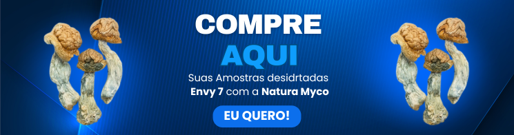 Banner compra Envy 7