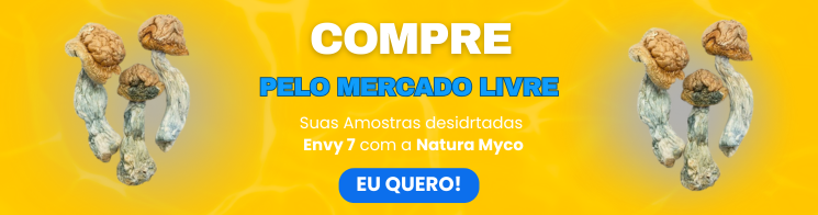 Banner compra Envy 7 ML