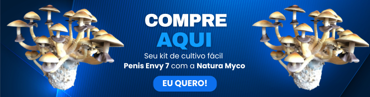 Cogumelo-penis-envy7 Como-cultivar-cogumelo-penis-envyv7 Penis-envy7 Como-tomar-cogumelo-penis-envy7 cogumelo penis envy 7
