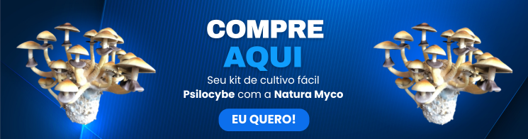 Banner compra kit psilocybe