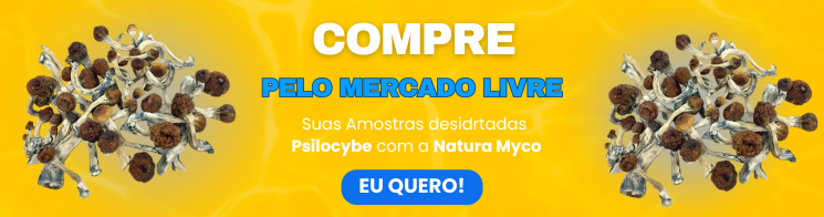 Banner compra Psilocybe ML