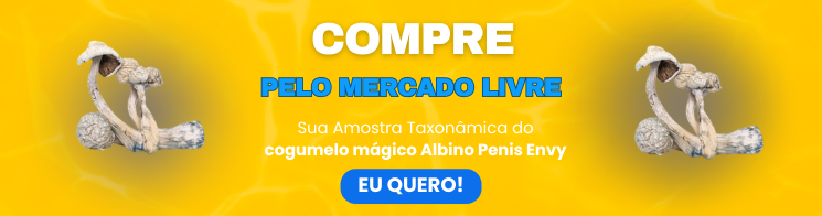 Banner compra APE ML