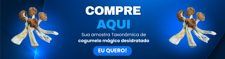 cogumelos desidratados Psilocybe cubensis desidrtado Como desidratar cogumelos Como conservar meus cogumelos Cogumelo mágico desidratado