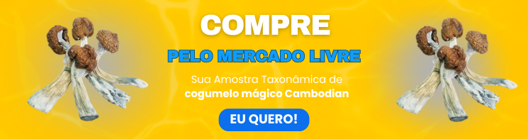 Banner compra Cambodian ML