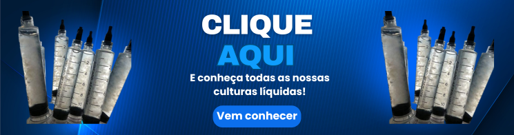 Cultura líquida Como guardar cultura líquida Melhor forma de guardar cultura líquida Conservação de cultura líquida para micélio Temperatura ideal para armazenar cultura líquida