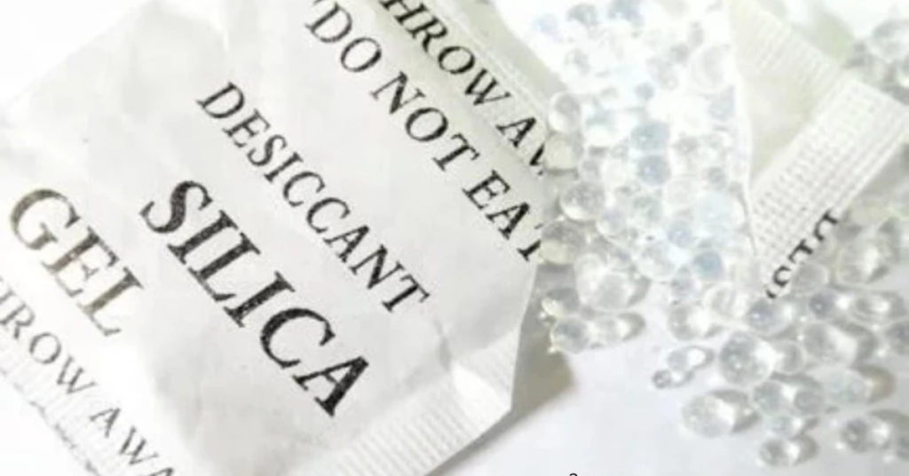 cogumelos desidratados Psilocybe cubensis desidrtado Como desidratar cogumelos Como conservar meus cogumelos Cogumelo mágico desidratado