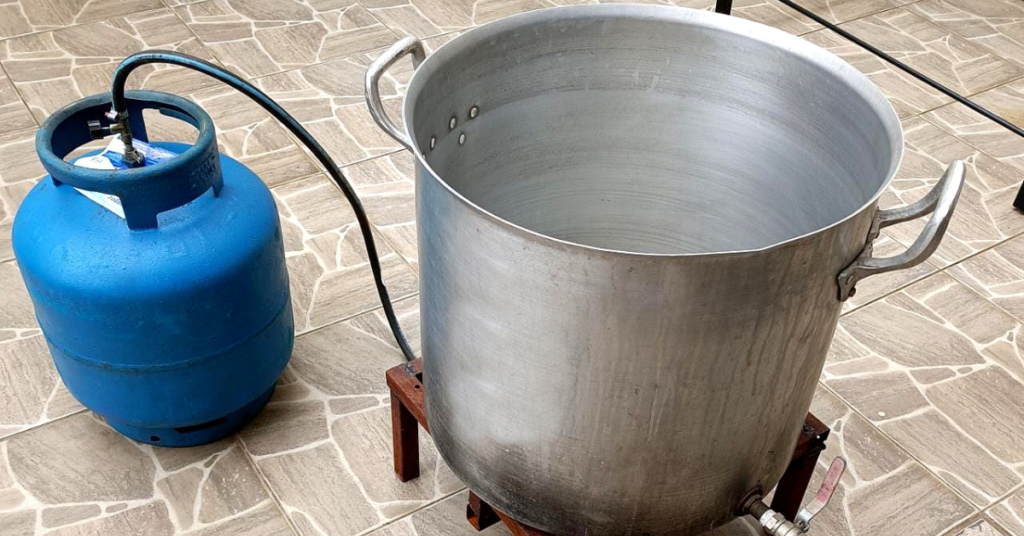 Spawn Como fazer semente de cogumelo Como cultivar cogumelos em casa cultivo de cogumelos mágicos Semente de cogumelos mágicos