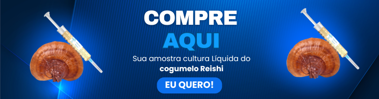 Cogumelo Reishi Cogumelo Ganoderma Lucidum Como cultivar cogumelo Reishi Semente cogumelo Reishi Como cultivar cogumelo Reishi