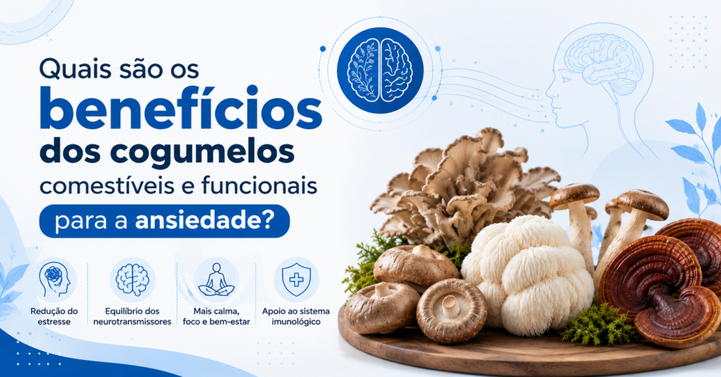 Cogumelo mágico juba de leão Ansiedade